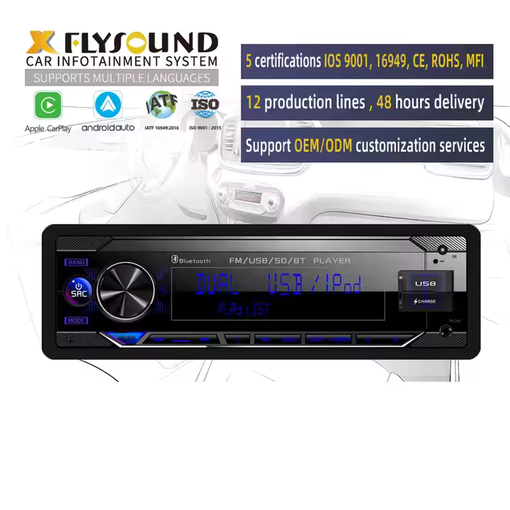 Portable Car DVD Player with LCD Screen