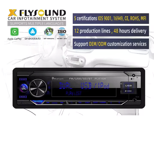 Portable Car DVD Player with LCD Screen